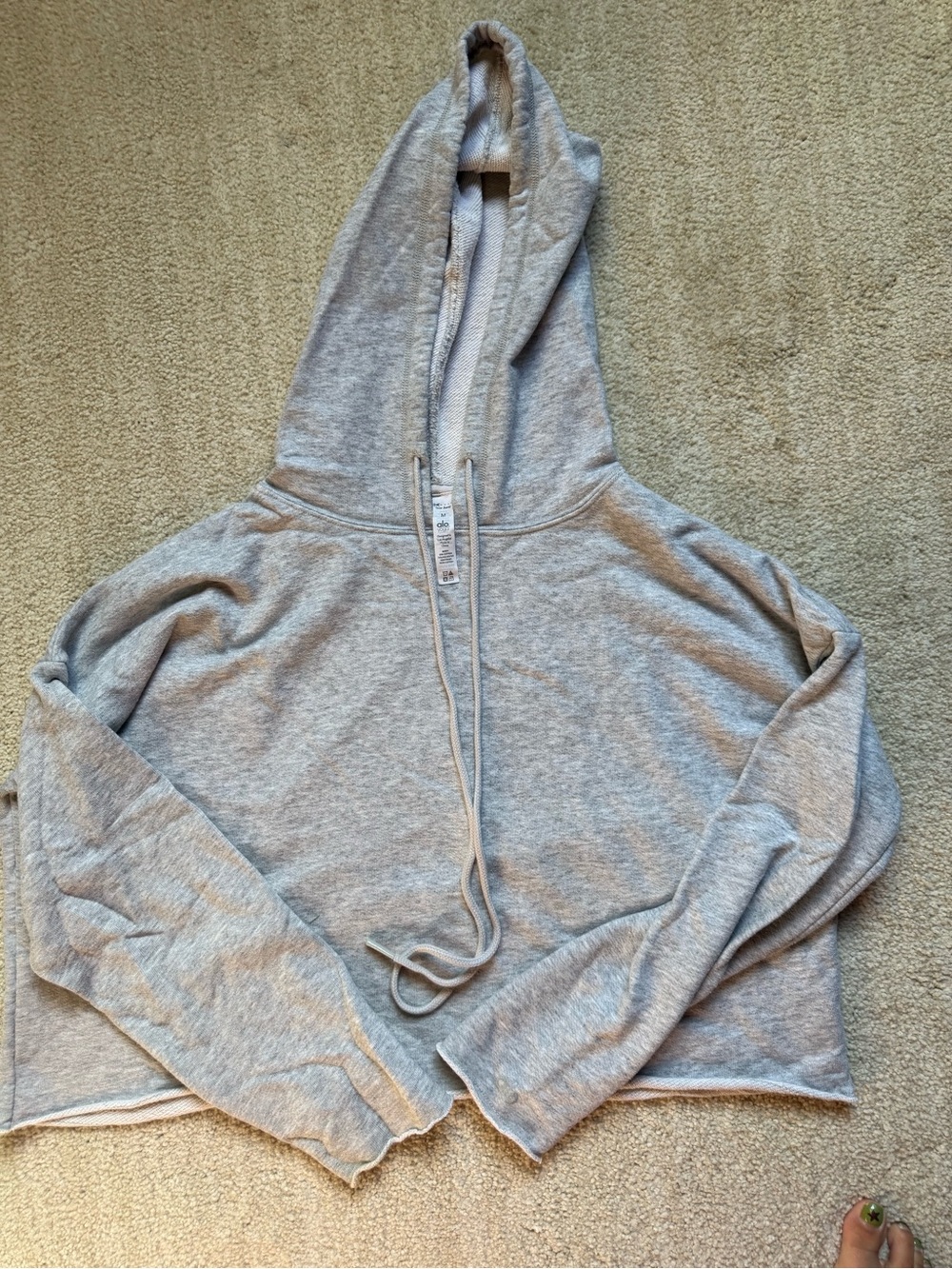 Alo Cropped Hoodie